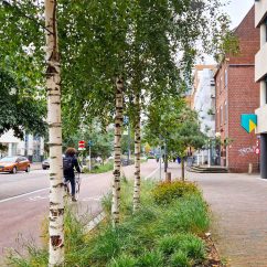 tFDOS_Vestdijk_02 tFDOS_Vestdijk_02