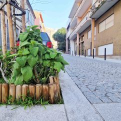 tFDOS_Rua da Paz_08
